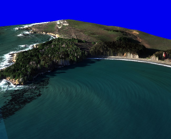 CASI Lidar Drape San Simeon National Coastal Mapping Program